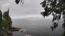 ./images/koeye/fitz-hugh/20260628/fitz-hugh20260628_123501M.jpg