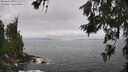 ./images/koeye/fitz-hugh/20260628/fitz-hugh20260628_124002M.jpg