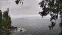 ./images/koeye/fitz-hugh/20260628/fitz-hugh20260628_124501M.jpg