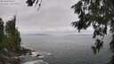 ./images/koeye/fitz-hugh/20260628/fitz-hugh20260628_125001M.jpg