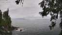 ./images/koeye/fitz-hugh/20260628/fitz-hugh20260628_125501M.jpg