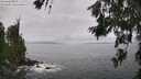 ./images/koeye/fitz-hugh/20260628/fitz-hugh20260628_130001M.jpg