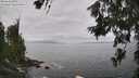 ./images/koeye/fitz-hugh/20260628/fitz-hugh20260628_130501M.jpg