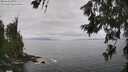 ./images/koeye/fitz-hugh/20260628/fitz-hugh20260628_131001M.jpg
