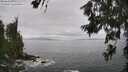 ./images/koeye/fitz-hugh/20260628/fitz-hugh20260628_131501M.jpg