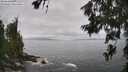 ./images/koeye/fitz-hugh/20260628/fitz-hugh20260628_132001M.jpg