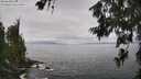 ./images/koeye/fitz-hugh/20260628/fitz-hugh20260628_132501M.jpg