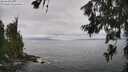 ./images/koeye/fitz-hugh/20260628/fitz-hugh20260628_133001M.jpg