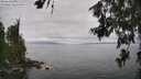 ./images/koeye/fitz-hugh/20260628/fitz-hugh20260628_133501M.jpg