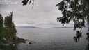 ./images/koeye/fitz-hugh/20260628/fitz-hugh20260628_134001M.jpg