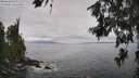 ./images/koeye/fitz-hugh/20260628/fitz-hugh20260628_134501M.jpg