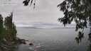 ./images/koeye/fitz-hugh/20260628/fitz-hugh20260628_135001M.jpg