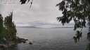 ./images/koeye/fitz-hugh/20260628/fitz-hugh20260628_135501M.jpg