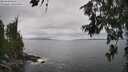 ./images/koeye/fitz-hugh/20260628/fitz-hugh20260628_141001M.jpg