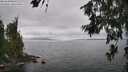 ./images/koeye/fitz-hugh/20260628/fitz-hugh20260628_141502M.jpg