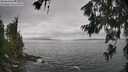 ./images/koeye/fitz-hugh/20260628/fitz-hugh20260628_142501M.jpg