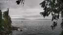 ./images/koeye/fitz-hugh/20260628/fitz-hugh20260628_143001M.jpg