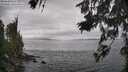 ./images/koeye/fitz-hugh/20260628/fitz-hugh20260628_143501M.jpg