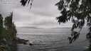 ./images/koeye/fitz-hugh/20260628/fitz-hugh20260628_144002M.jpg