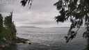 ./images/koeye/fitz-hugh/20260628/fitz-hugh20260628_144501M.jpg