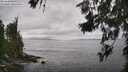 ./images/koeye/fitz-hugh/20260628/fitz-hugh20260628_145001M.jpg