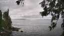 ./images/koeye/fitz-hugh/20260628/fitz-hugh20260628_145501M.jpg
