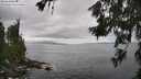 ./images/koeye/fitz-hugh/20260628/fitz-hugh20260628_151501M.jpg