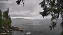 ./images/koeye/fitz-hugh/20260628/fitz-hugh20260628_153002M.jpg