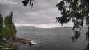 ./images/koeye/fitz-hugh/20260628/fitz-hugh20260628_160501M.jpg