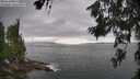 ./images/koeye/fitz-hugh/20260628/fitz-hugh20260628_161502M.jpg