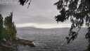 ./images/koeye/fitz-hugh/20260628/fitz-hugh20260628_171501M.jpg