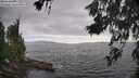 ./images/koeye/fitz-hugh/20260628/fitz-hugh20260628_173501M.jpg