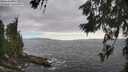 ./images/koeye/fitz-hugh/20260628/fitz-hugh20260628_175001M.jpg