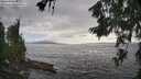 ./images/koeye/fitz-hugh/20260628/fitz-hugh20260628_181502M.jpg