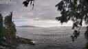 ./images/koeye/fitz-hugh/20260628/fitz-hugh20260628_184001M.jpg