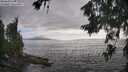 ./images/koeye/fitz-hugh/20260628/fitz-hugh20260628_184501M.jpg