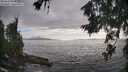 ./images/koeye/fitz-hugh/20260628/fitz-hugh20260628_185001M.jpg