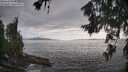 ./images/koeye/fitz-hugh/20260628/fitz-hugh20260628_185502M.jpg