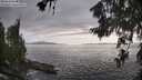 ./images/koeye/fitz-hugh/20260628/fitz-hugh20260628_190501M.jpg