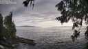 ./images/koeye/fitz-hugh/20260628/fitz-hugh20260628_191001M.jpg