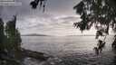 ./images/koeye/fitz-hugh/20260628/fitz-hugh20260628_191501M.jpg