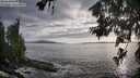 ./images/koeye/fitz-hugh/20260628/fitz-hugh20260628_194001M.jpg