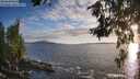 ./images/koeye/fitz-hugh/20260628/fitz-hugh20260628_202501M.jpg