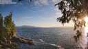 ./images/koeye/fitz-hugh/20260628/fitz-hugh20260628_204501M.jpg