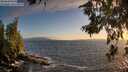 ./images/koeye/fitz-hugh/20260628/fitz-hugh20260628_211001M.jpg