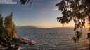 ./images/koeye/fitz-hugh/20260628/fitz-hugh20260628_212501M.jpg