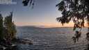 ./images/koeye/fitz-hugh/20260628/fitz-hugh20260628_215001M.jpg