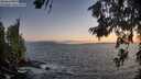./images/koeye/fitz-hugh/20260628/fitz-hugh20260628_215502M.jpg