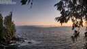 ./images/koeye/fitz-hugh/20260628/fitz-hugh20260628_220501M.jpg