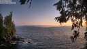 ./images/koeye/fitz-hugh/20260628/fitz-hugh20260628_221501M.jpg